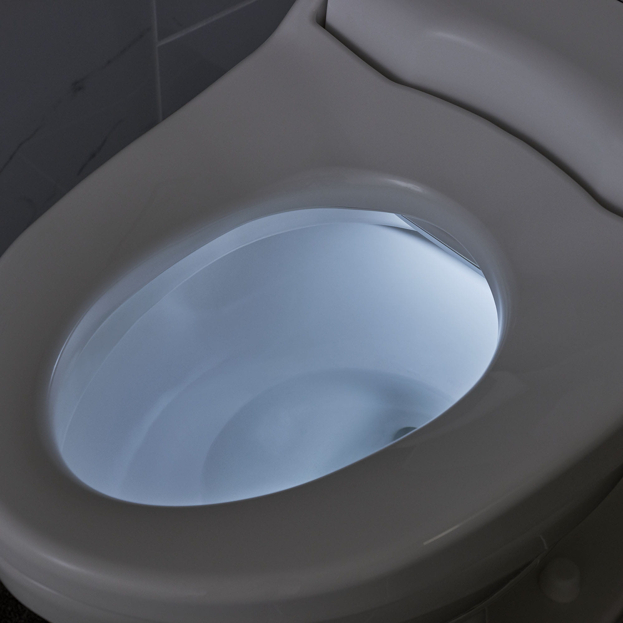 Advanced Clean® 2.5 Electric SpaLet® Bidet Seat With Remote Operation